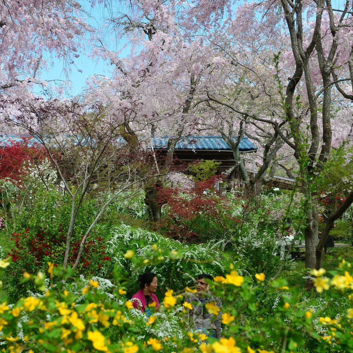 🌸 하라다니 정원(하라다니엔) 이미지 4